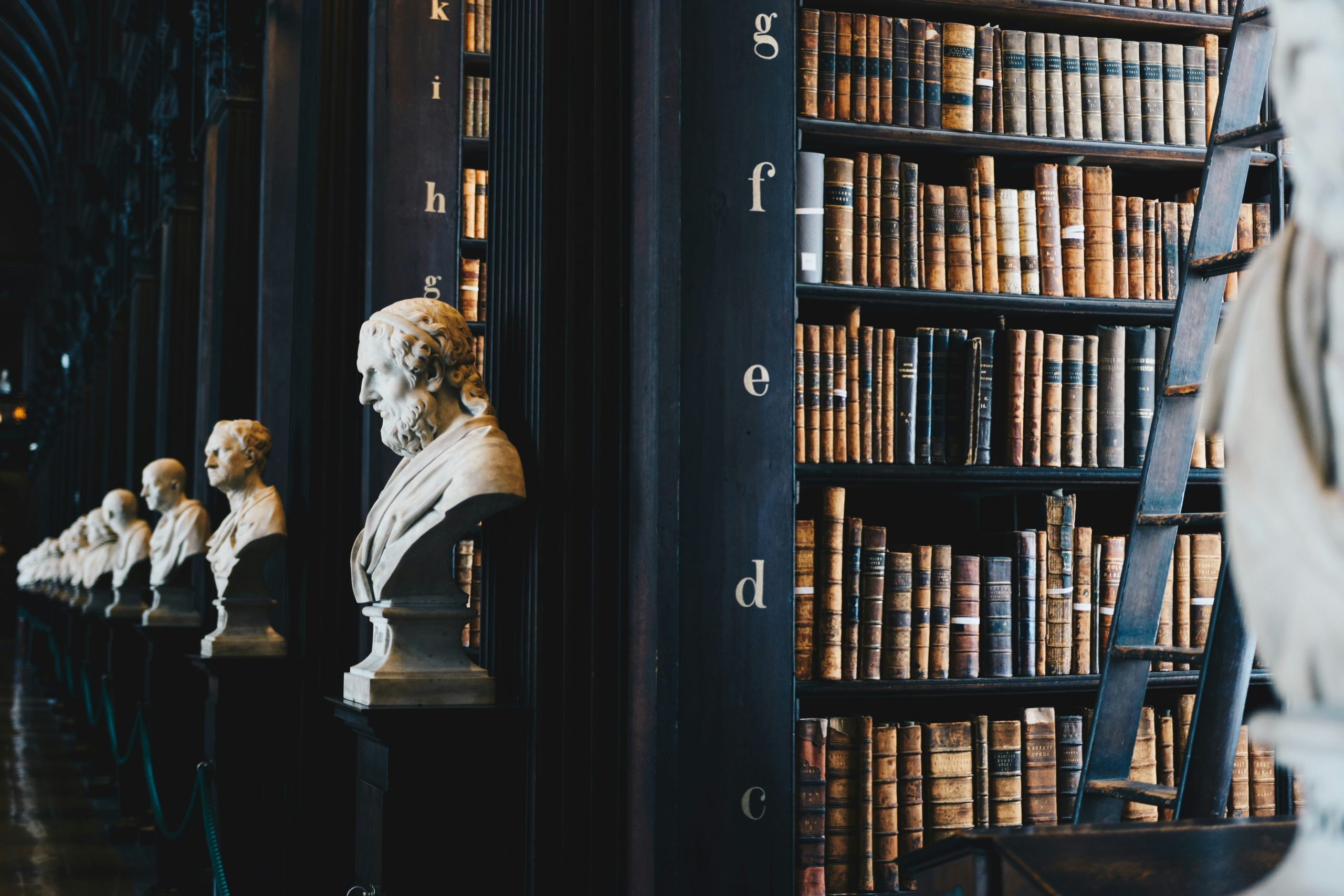 biblioteca